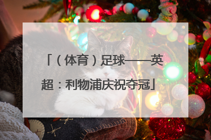 （体育）足球——英超：利物浦庆祝夺冠
