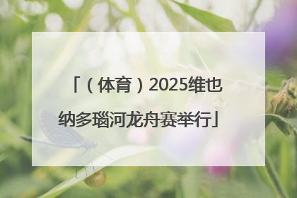 （体育）2025维也纳多瑙河龙舟赛举行