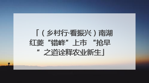 （乡村行·看振兴）南湖红菱“错峰”上市 “抢早”之道诠释农业新生