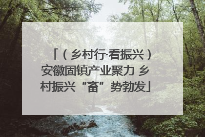 （乡村行·看振兴）安徽固镇产业聚力 乡村振兴“畜”势勃发