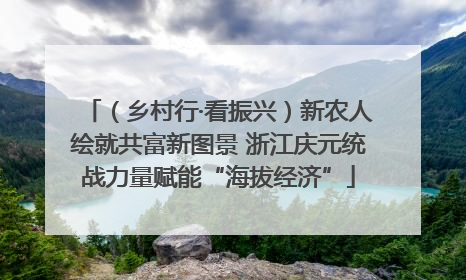 （乡村行·看振兴）新农人绘就共富新图景 浙江庆元统战力量赋能“海拔经济”