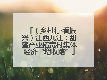 （乡村行·看振兴）江西九江：甜蜜产业拓宽村集体经济“增收路”
