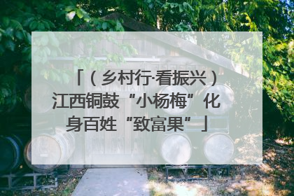 （乡村行·看振兴）江西铜鼓“小杨梅”化身百姓“致富果”
