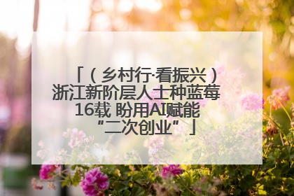 （乡村行·看振兴）浙江新阶层人士种蓝莓16载 盼用AI赋能“二次创业”
