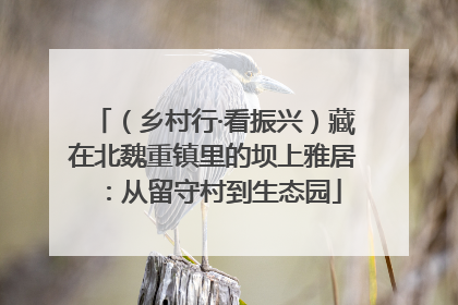 （乡村行·看振兴）藏在北魏重镇里的坝上雅居：从留守村到生态园
