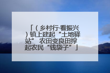 （乡村行·看振兴）镇上建起“土地驿站” 农田变良田撑起农民“钱袋子”