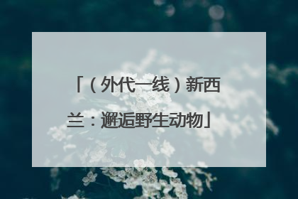 （外代一线）新西兰：邂逅野生动物