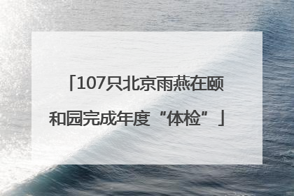 107只北京雨燕在颐和园完成年度“体检”