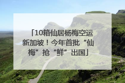 10箱仙居杨梅空运新加坡！今年首批“仙梅”抢“鲜”出国