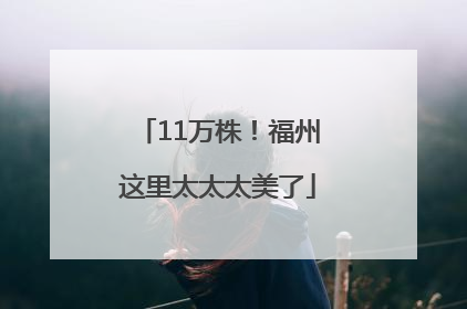 11万株！福州这里太太太美了