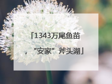 1343万尾鱼苗，“安家”斧头湖