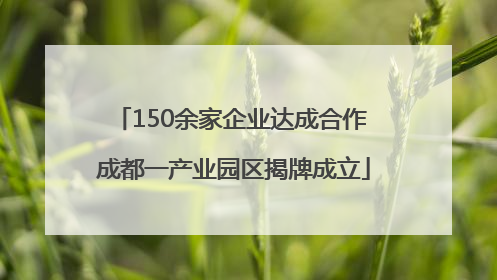 150余家企业达成合作 成都一产业园区揭牌成立