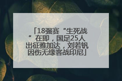 18强赛“生死战”在即，国足25人出征雅加达，刘若钒因伤无缘客战印尼