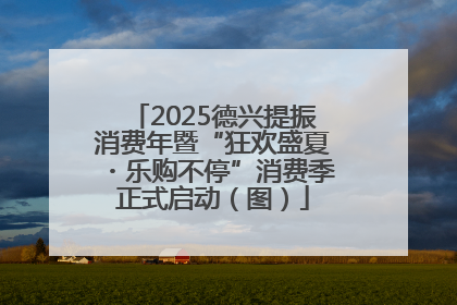 2025德兴提振消费年暨“狂欢盛夏・乐购不停”消费季正式启动（图）
