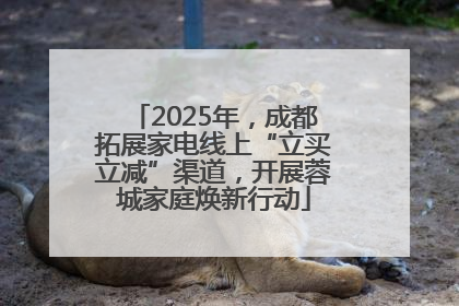 2025年，成都拓展家电线上“立买立减”渠道，开展蓉城家庭焕新行动