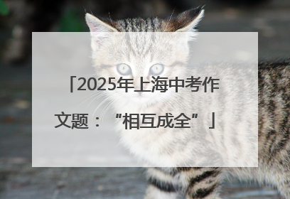 2025年上海中考作文题：“相互成全”