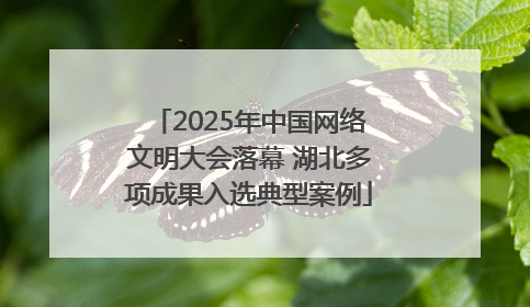 2025年中国网络文明大会落幕 湖北多项成果入选典型案例