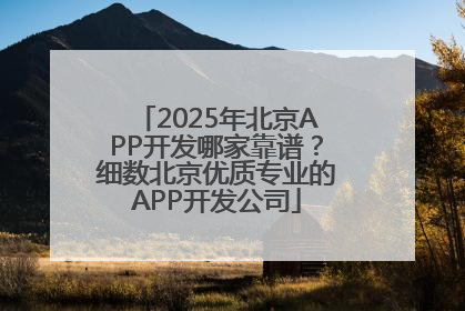 2025年北京APP开发哪家靠谱？细数北京优质专业的APP开发公司