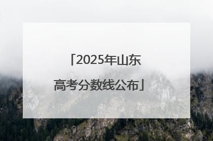 2025年山东高考分数线公布