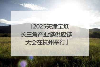 2025天津宝坻长三角产业链供应链大会在杭州举行