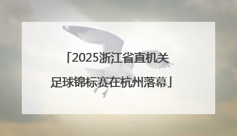 2025浙江省直机关足球锦标赛在杭州落幕