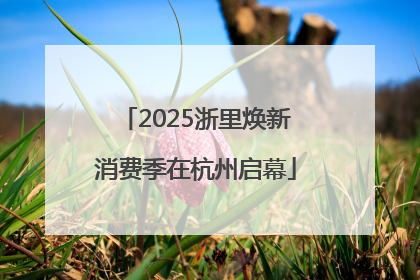 2025浙里焕新消费季在杭州启幕