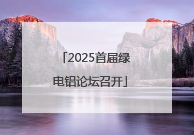 2025首届绿电铝论坛召开