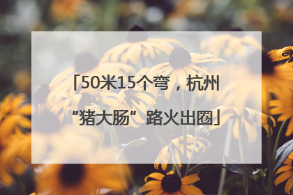 50米15个弯，杭州“猪大肠”路火出圈