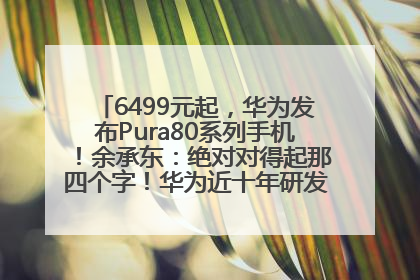 6499元起，华为发布Pura80系列手机！余承东：绝对对得起那四个字！华为近十年研发投入12490亿元
