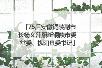 75后安徽铜陵副市长杨文萍履新铜陵市委常委、枞阳县委书记