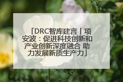 DRC智库建言丨项安波：促进科技创新和产业创新深度融合 助力发展新质生产力