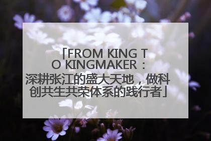 FROM KING TO KINGMAKER：深耕张江的盛大天地，做科创共生共荣体系的践行者