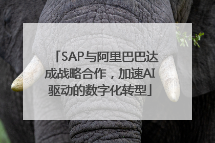 SAP与阿里巴巴达成战略合作，加速AI驱动的数字化转型