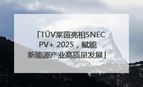 TÜV莱茵亮相SNEC PV+ 2025，赋能新能源产业高质量发展