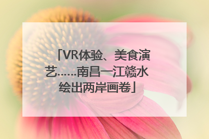 VR体验、美食演艺……南昌一江赣水绘出两岸画卷
