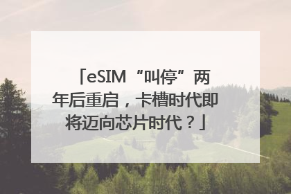 eSIM“叫停”两年后重启，卡槽时代即将迈向芯片时代？